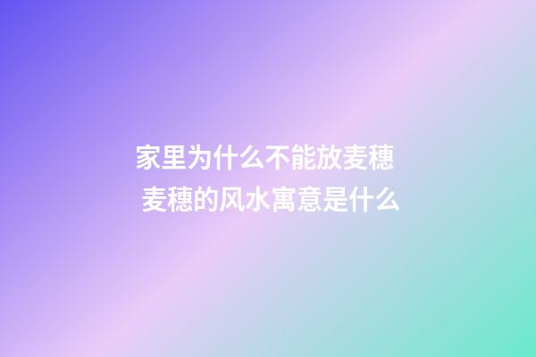 家里为什么不能放麦穗  麦穗的风水寓意是什么
